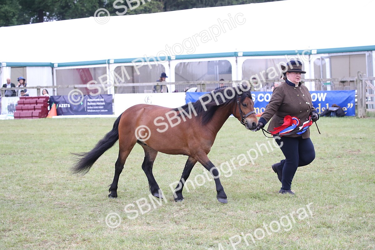 SBM_09815 - Ch 50 - Price Family Supreme In Hand