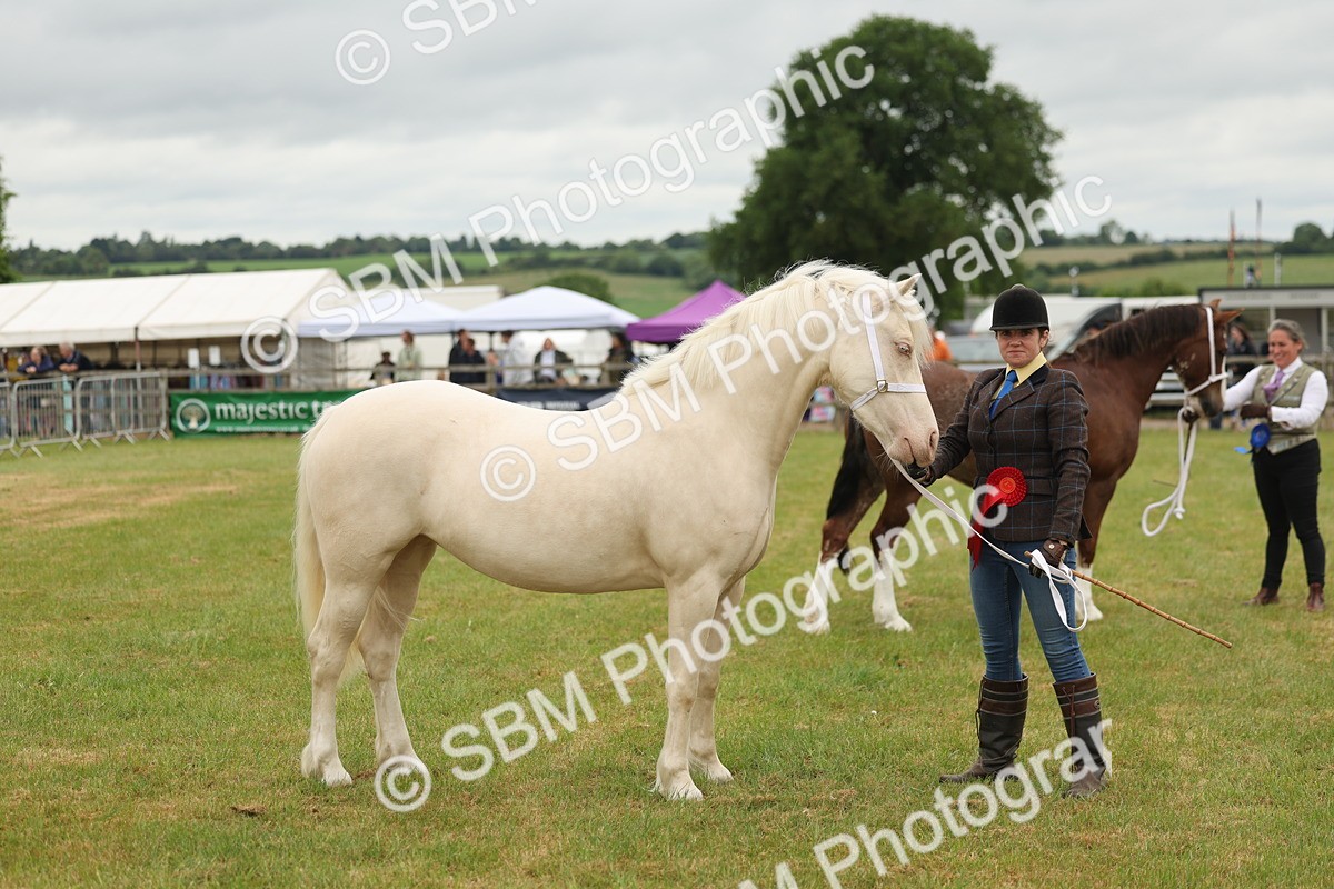 SBM_02421 - Class 50-57 - M&M Welsh Pony In Hand