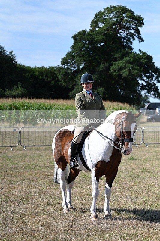 WJ7_3149 - Class 8 Ridden Tack & Turnout