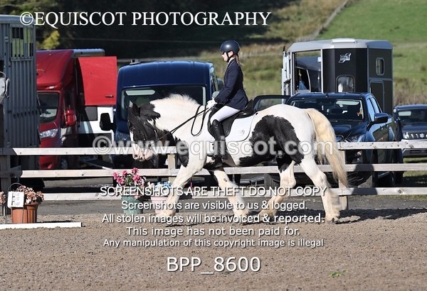 BPP_8600 - SHORT ARENA