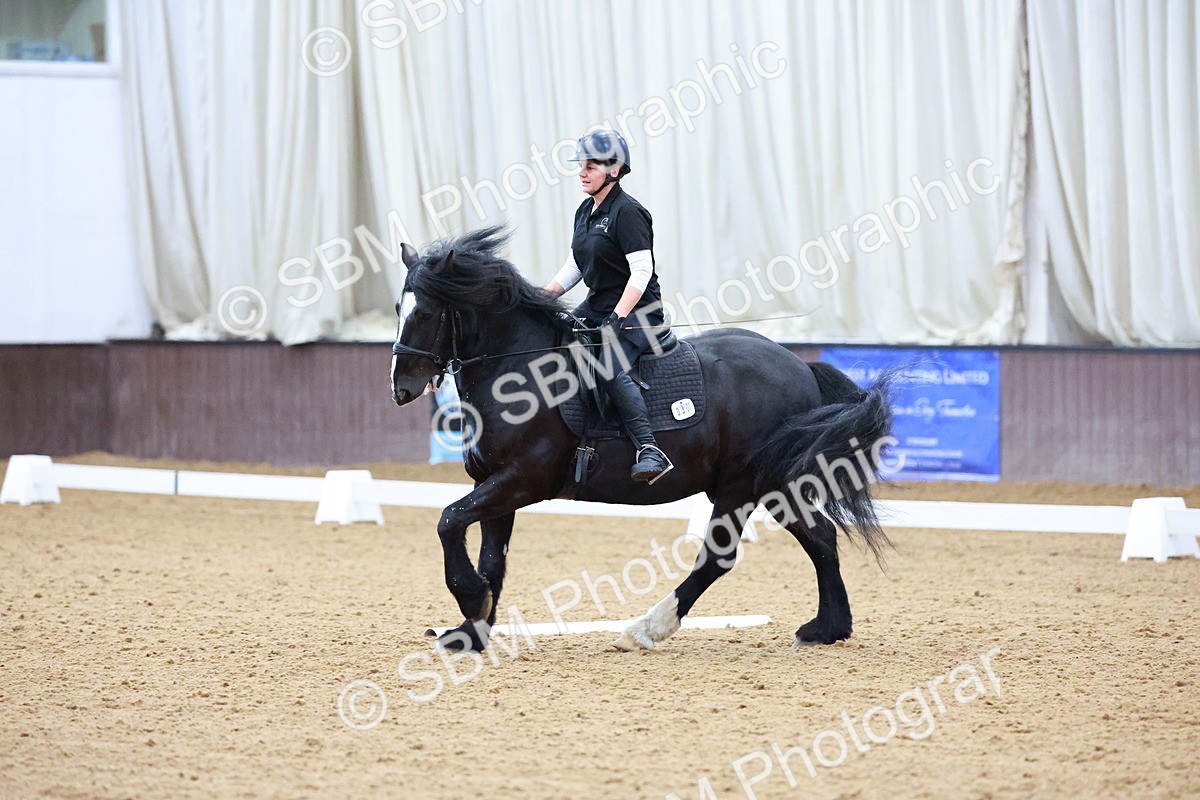 1I0A0809 - Class 3-6 - Prelim 1-Novice 2