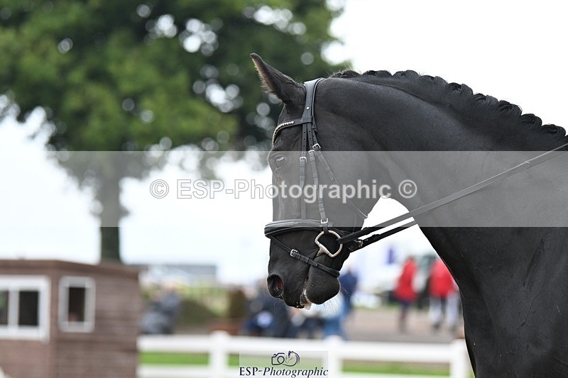 250907-122559-08342 - 004-Charlotte.DickerDevaldi's.Kiss