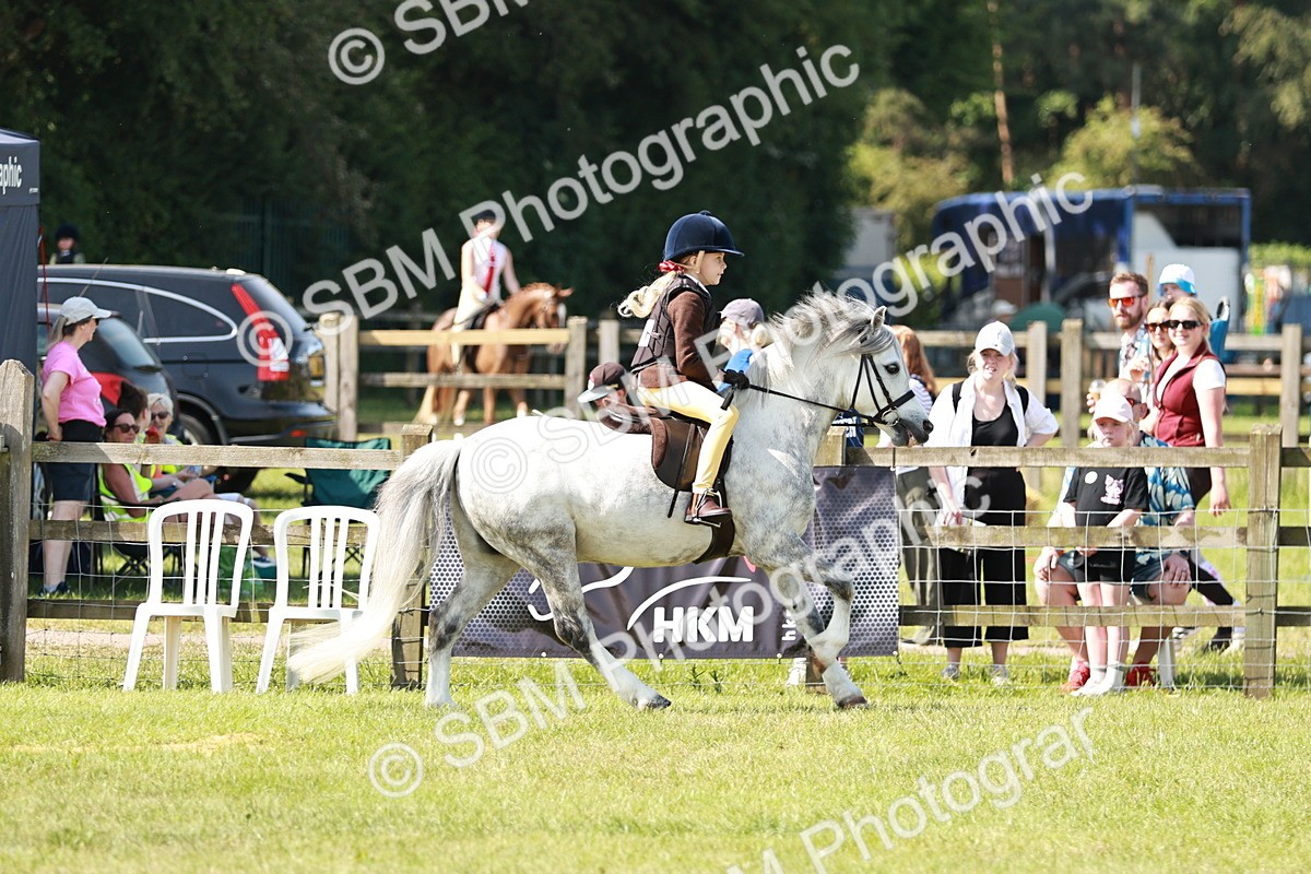 SBM_12788 - Class 106-107 - BSPS LIHS Working Sports Pony