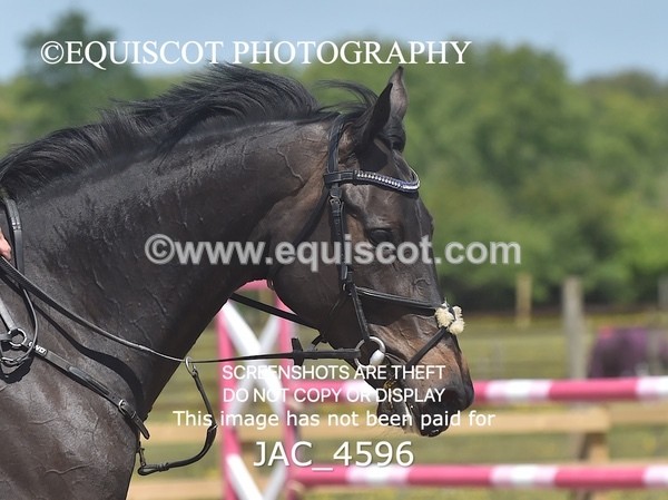 JAC_4596 - CLASS 7 Senior Foxhunter/ 1.20m Open
