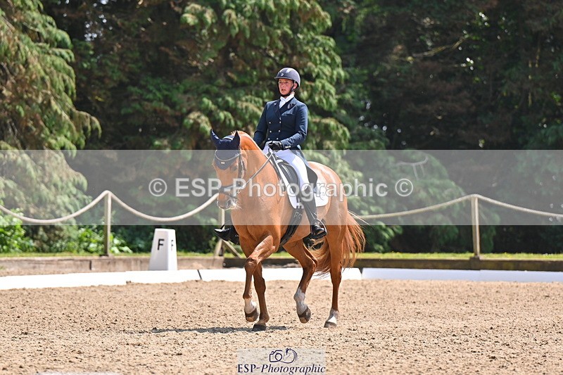 250523A-141819-07294 - B-360-Lucy.K.Wheeler-KING.CREOLE.VD.N.RANCH