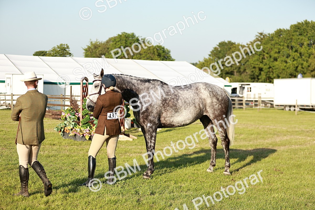 SBM_20503 - Class 117-119 - Sport Horse Working Hunter