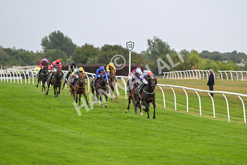 270825-Race 3-Quercus-4991 - Race 3