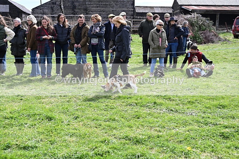 WJ6_8250 - Class 4 Prettiest Bitch