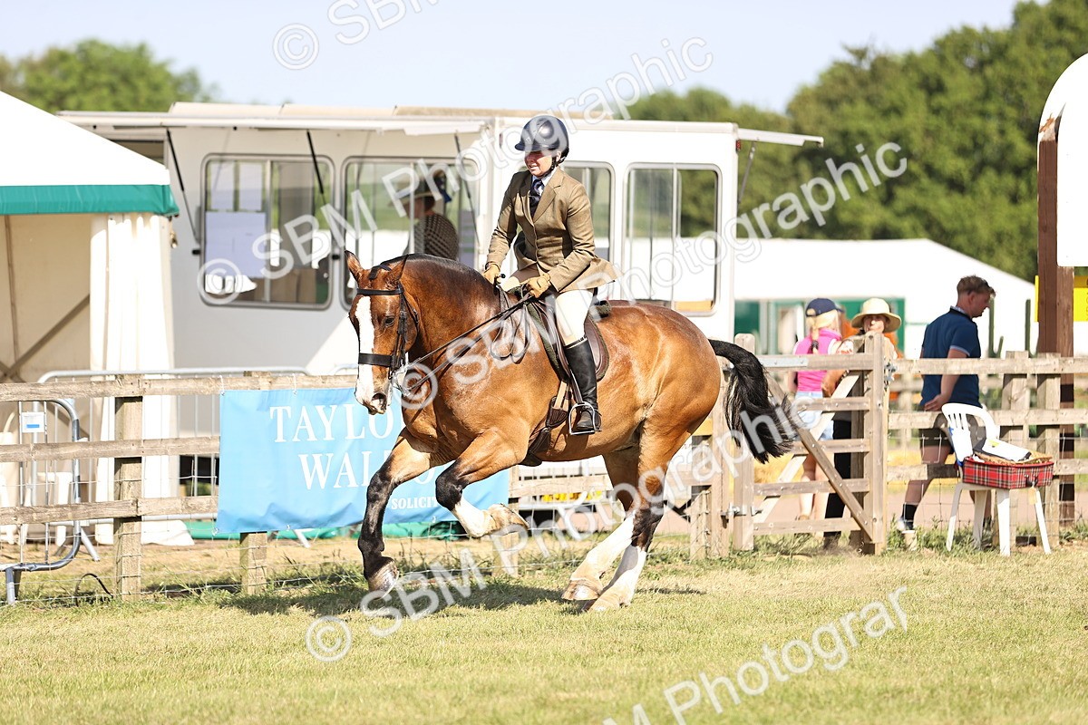 SBM_19659 - Class 87-88 - RIHS BSHA Riding Horses