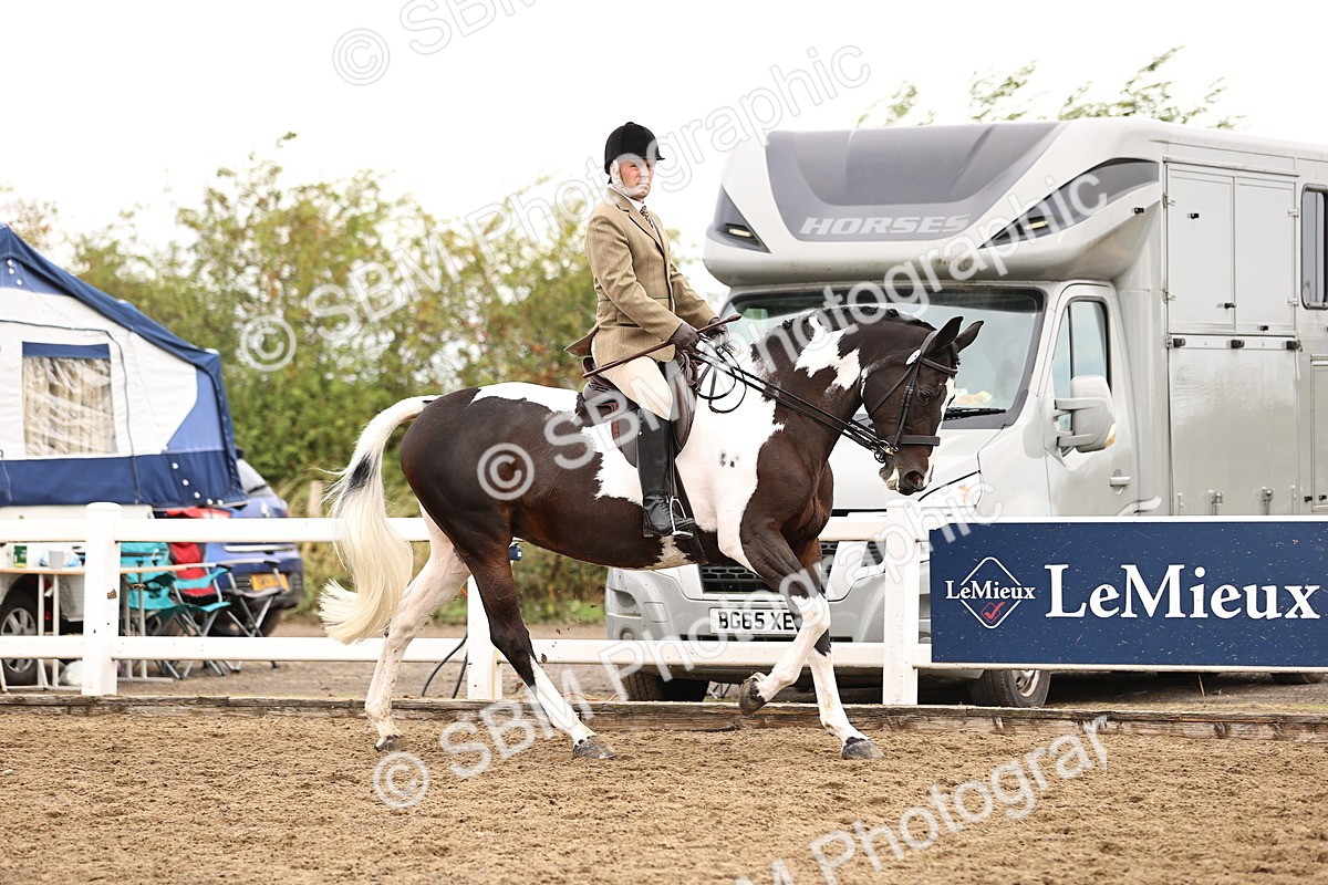 SBM_01360 - Class 54 - Riding Club Horse Pony