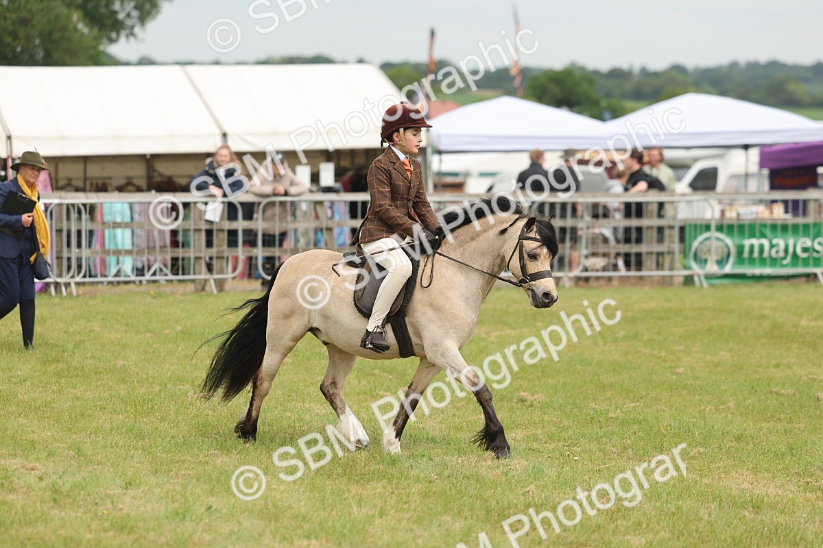 SBM_07108 - Class 76-77 - Ridden M&M Welsh Ponies