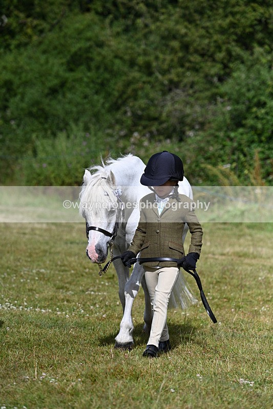 WJ7_4319 - Class 1 Lead Rein Pony