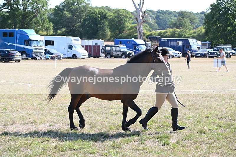 WJ6_7544 - Class 34 Judges Choice