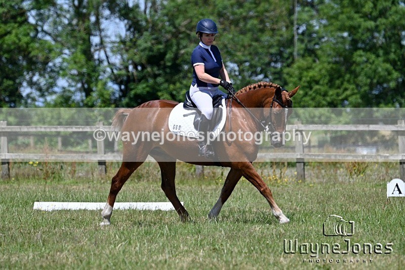 WJ7_3191 - Edited examples