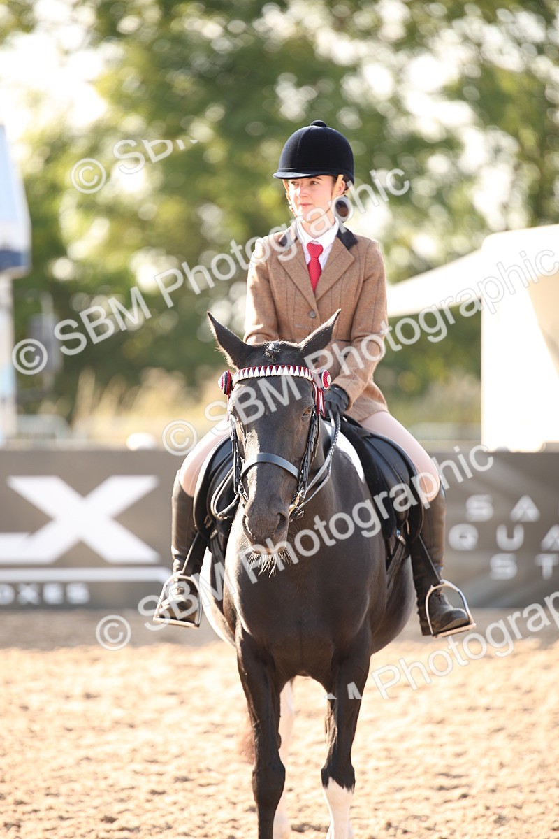 SBM_08866 - Class 12R Regional Ridden Pre-Vet