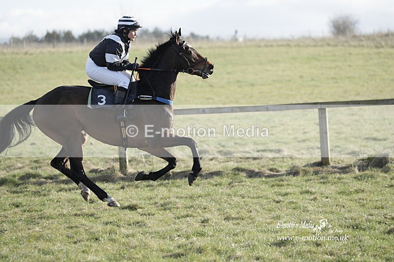 PtP 260223 1130 - South & West Wilts Point-to-Point Larkhill 26/02/23