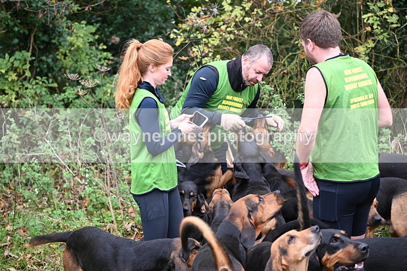 WJ6_8528 - Meet