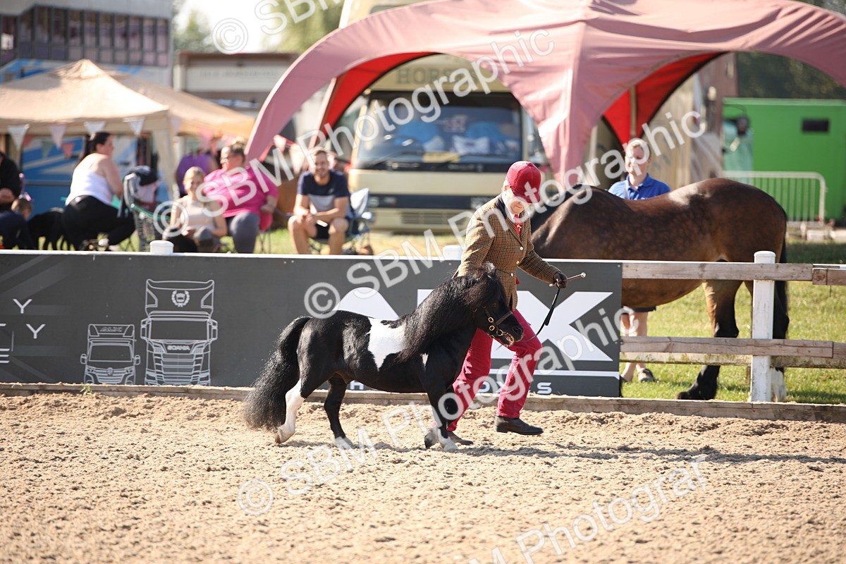 SBM_01472 - Class 15 IH Coloured