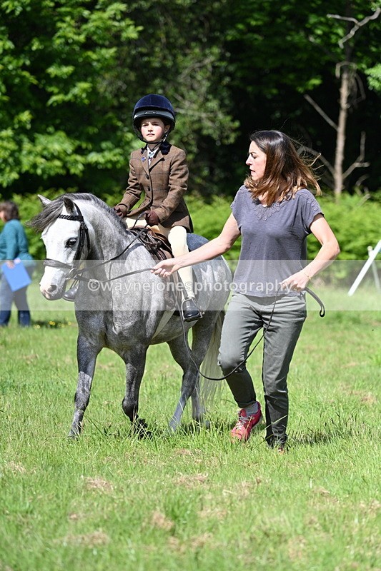 WJ7_1115 - Class 11 Condition & Turnout