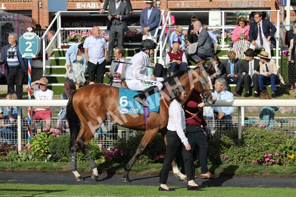 yr19082022r7-10 - Race 7 5.20pm Sky Bet Mile Stakes