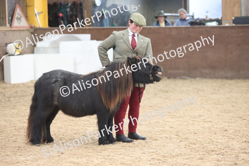 20251109-0235 - Class 11 - 2 and 3 Year Old