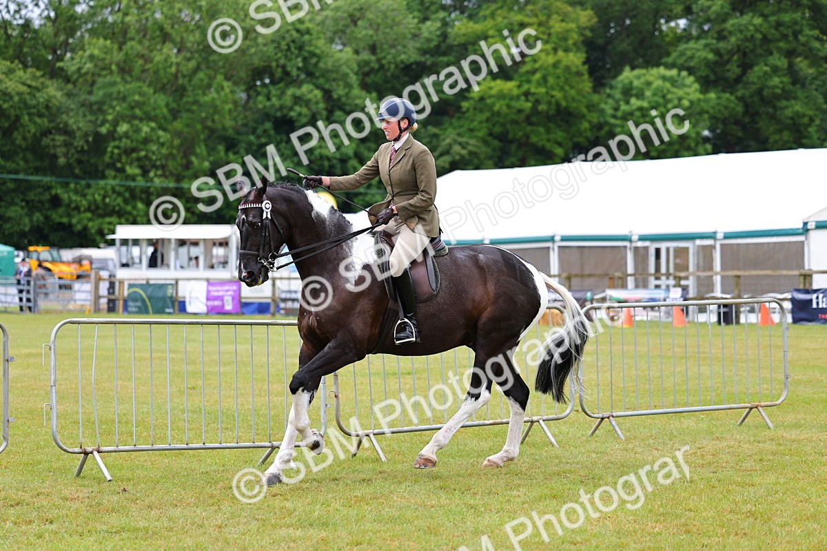 SBM_02508 - Class 9-11 Side Saddle including LIHS Rising Star Ladies Show Horse
