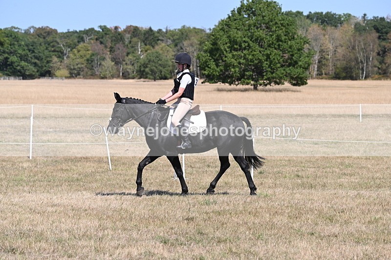 WJ6_8826 - Class 38 Ridden Riding Horse/Pony