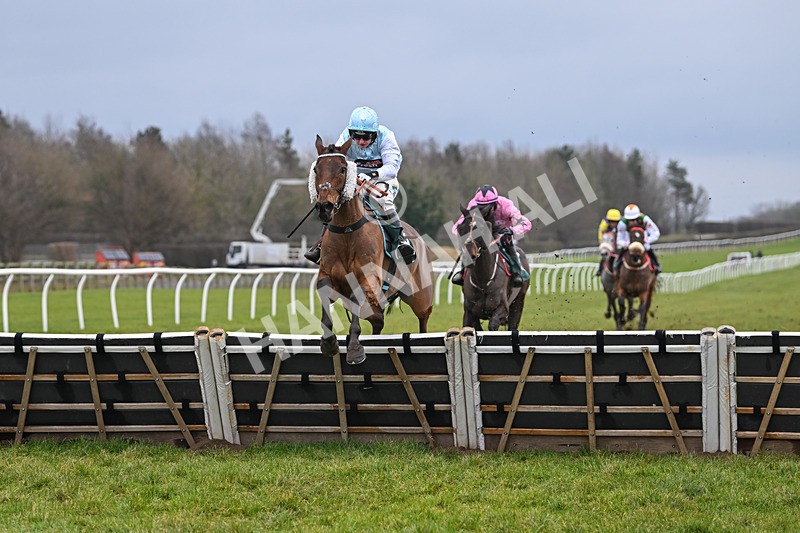 100225-Race 1-Tigerbythetail-6324 - Race 1