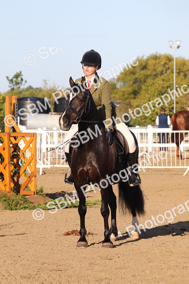 SBM_07903 - Class 501 - Riding Club Pony