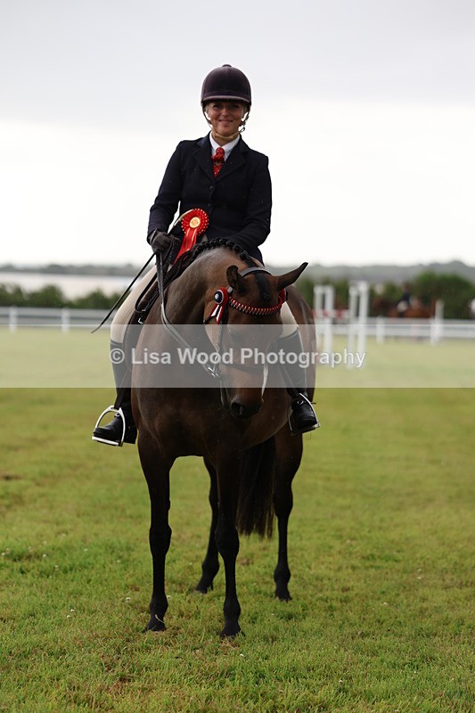 3E7A7934 - Class 1: Rising Star Small Hack/Riding Horses