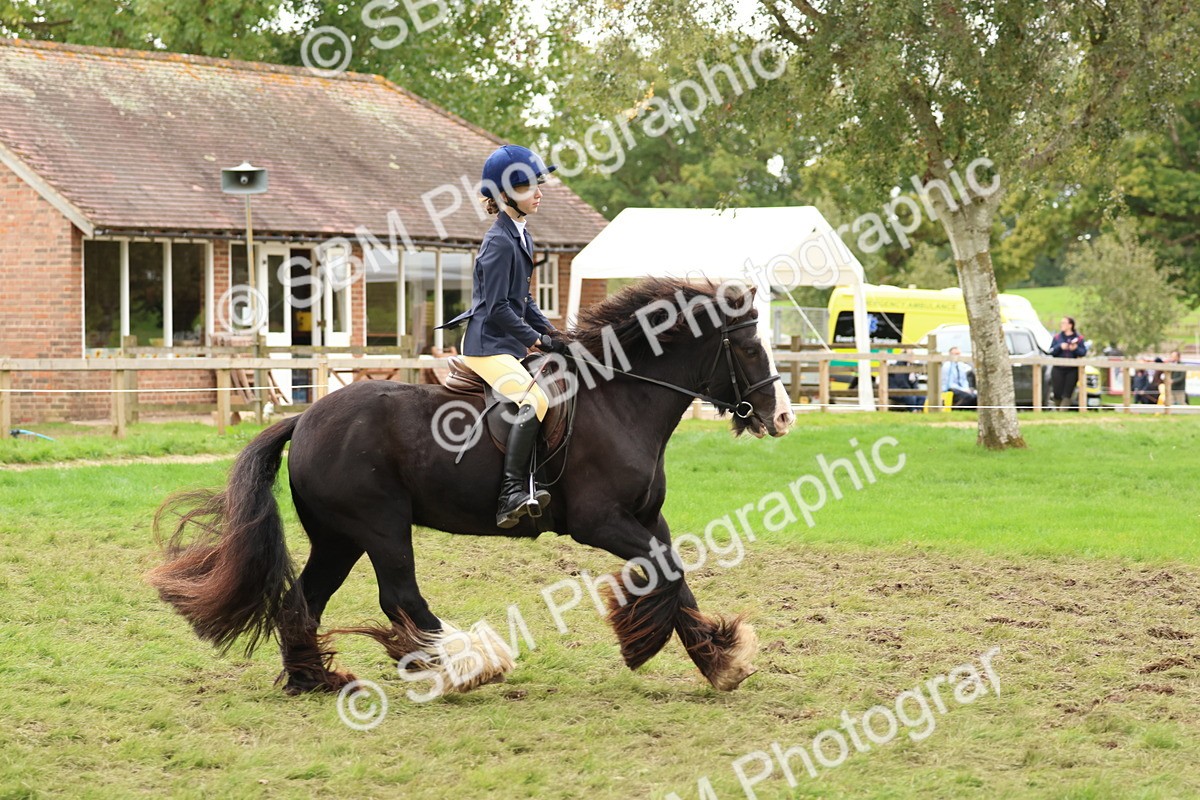 SBM_67531 - S60 - Mini Show Cob Ridden