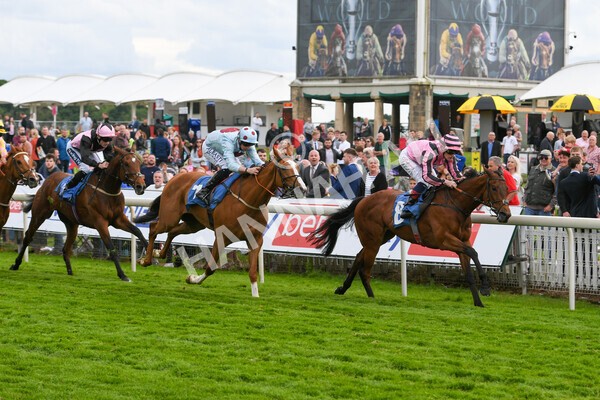 yr22052022r6-20 - Race 6: 6:05pm Sky Bet Sunday Series Stayers Stakes