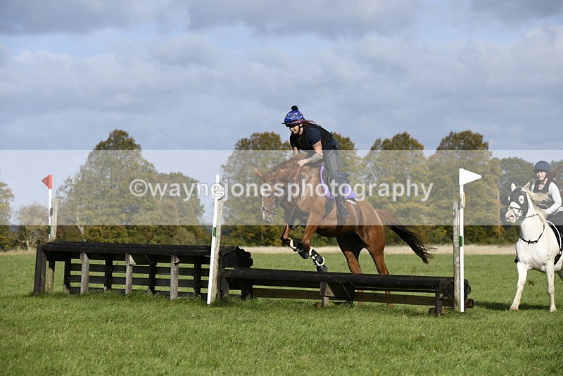 _DSC6195 - Time 11:23 to 12:05