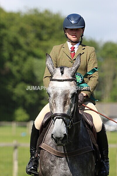 IMG_4691 - Working Hunter