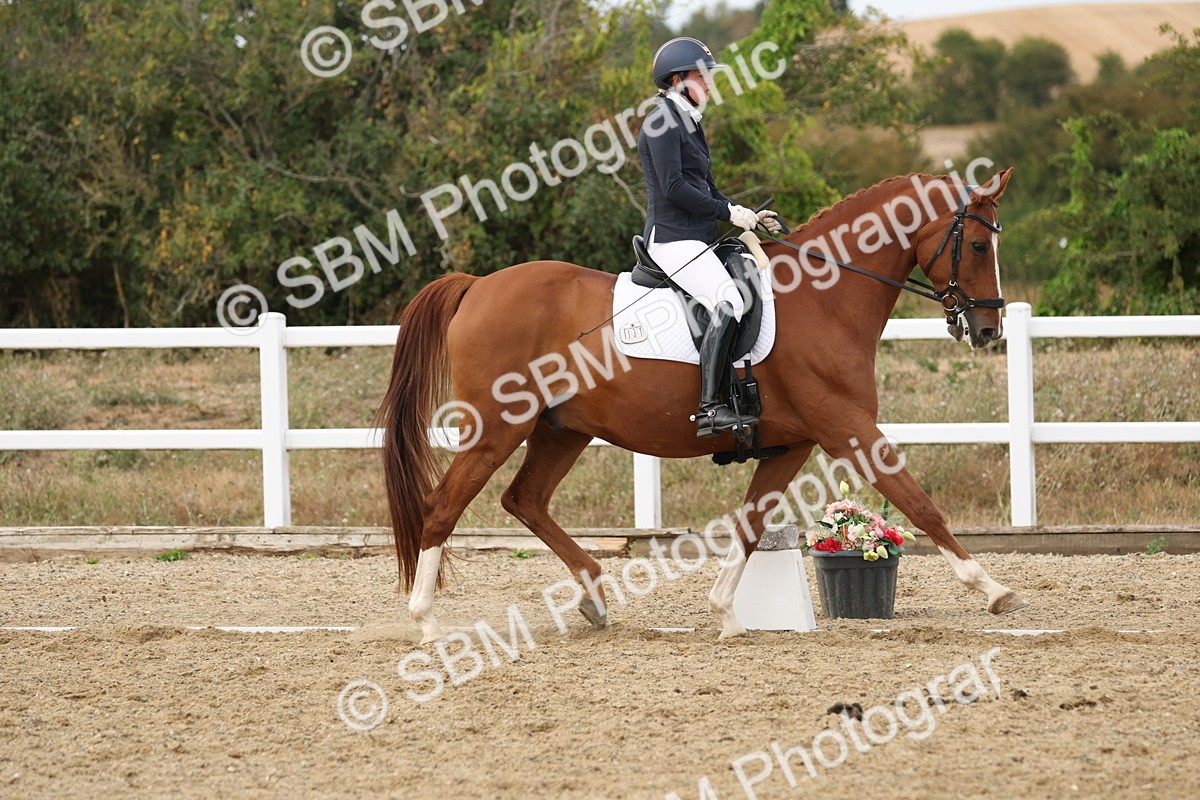 SBM_011995