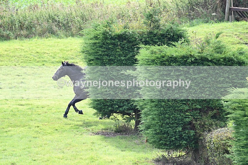 WJ7_7638 - Time 13:30 to 13:48