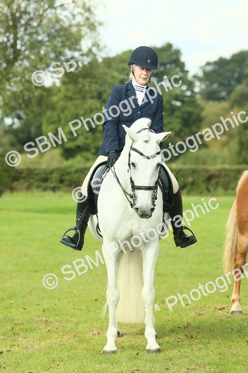 SBM_62525 - S62 - Foreign Breeds Ridden