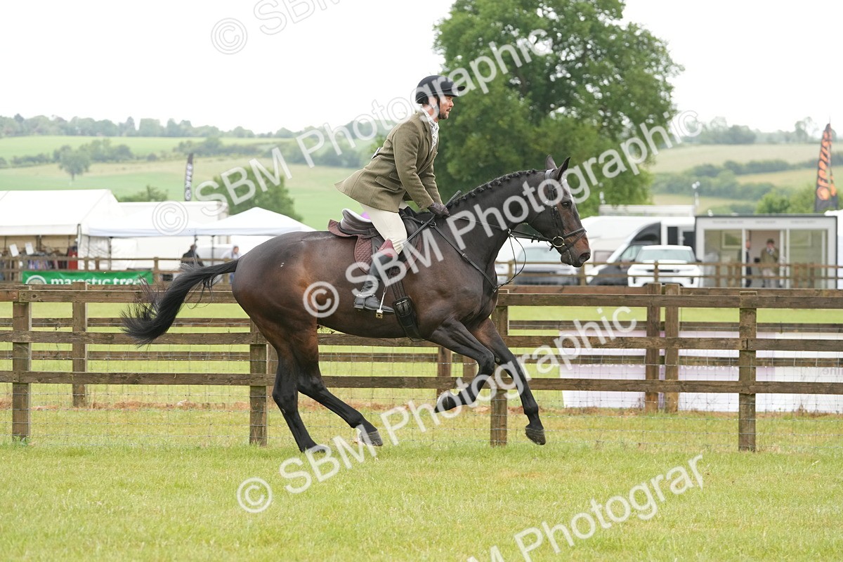 SBM_12698 - Class 97-98 - LIHS BSHA Rising Star Working Show Horse Hunter