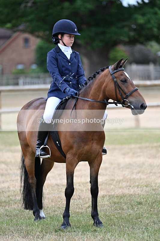 WJ7_0291 - Class 2 Best rider