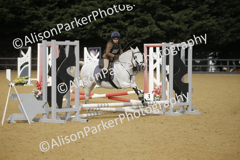 20250622-1445 - 40cm