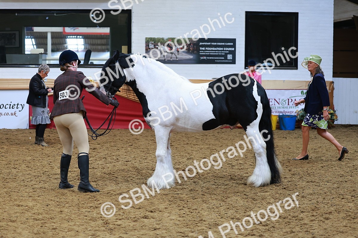SBM_09792 - Class 102 - HOYS Veteran Qualifier - Ridden Veteran