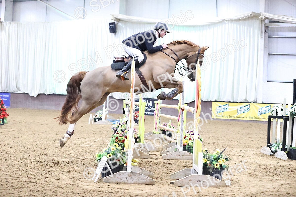 SBM_003703 - Class 17 - Senior Foxhunter - 1.20m