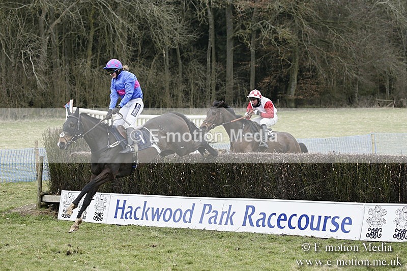 PtP 110318 165 - Hampshire Hunt Point-to-Point Hackwood Park 11/03/18