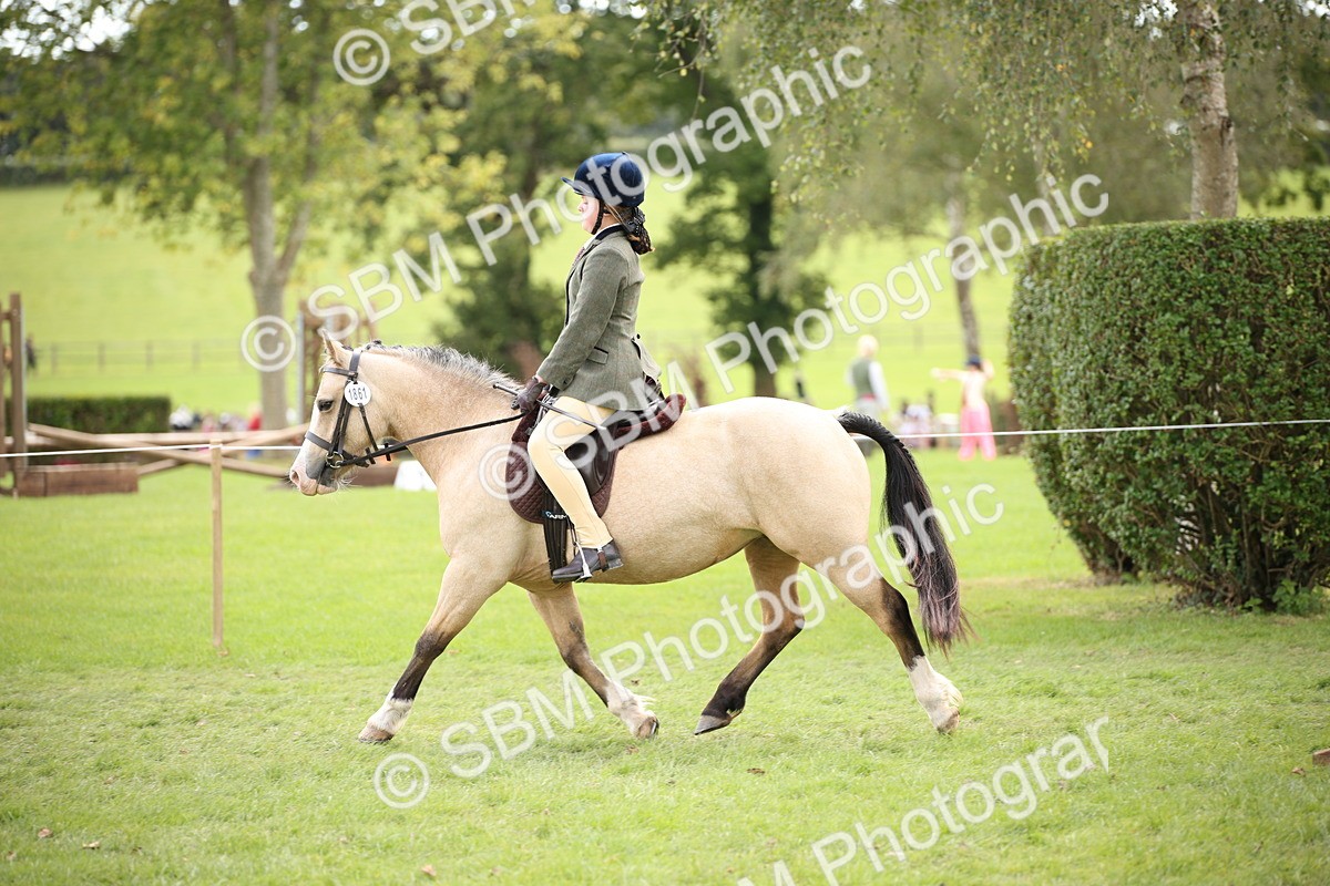 SBM_42301 - S13 - Pony Club Pony