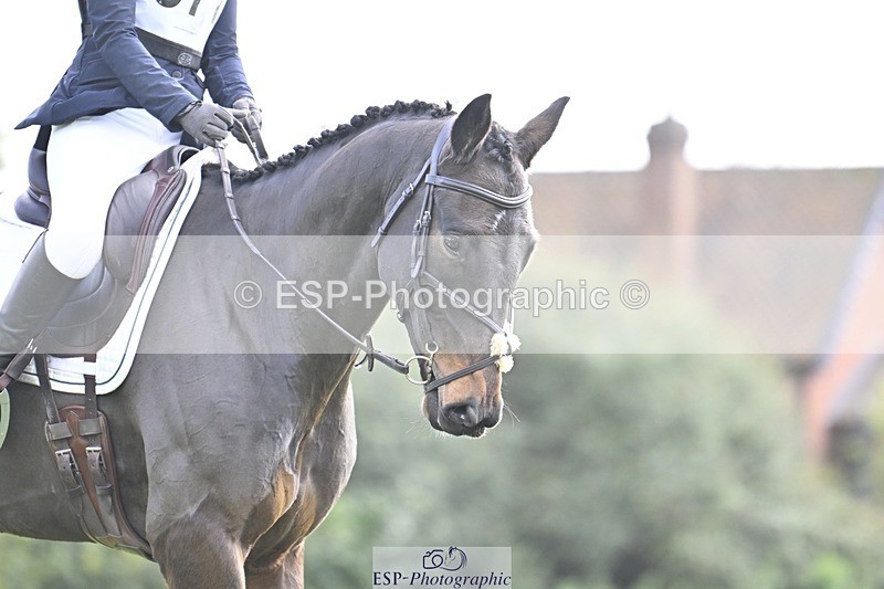 241025-132427-09446 - 377-Bethany.Hull-CARRICK.DIAMOND.OLIVER