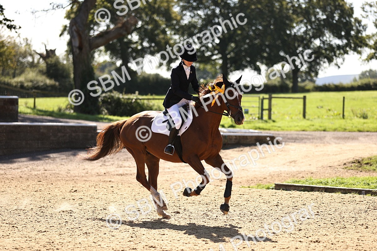 SBM_38600 - J39 - Senior 85cm Championship