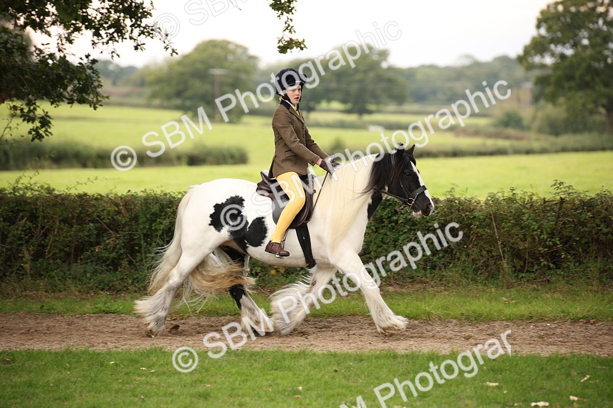SBM_73433 - S68 - Traditional Cob Ridden