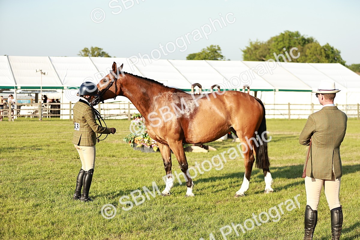 SBM_20527 - Class 117-119 - Sport Horse Working Hunter