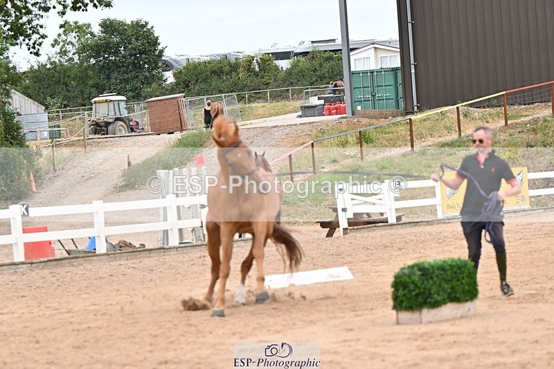 250716-160621-02411 - Trot Up 3.30 to 4.30