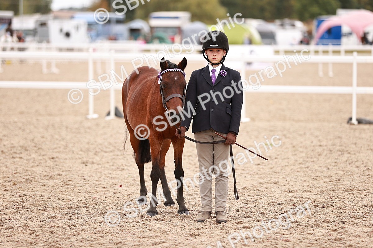 SBM_18591 - Class 421 - Childs Best Friend - Jnr